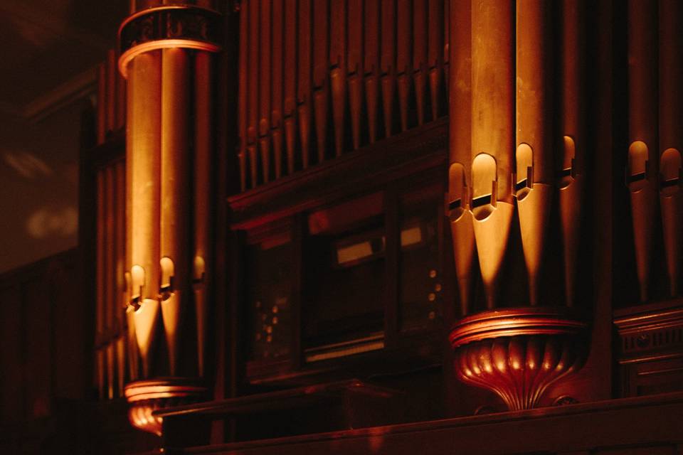 Organ Up Close