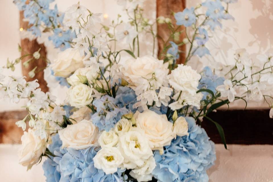 Vase of blue flowers