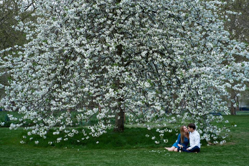 Engagement in London