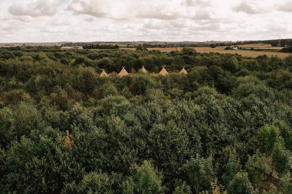 Tipi peaks over the Forest