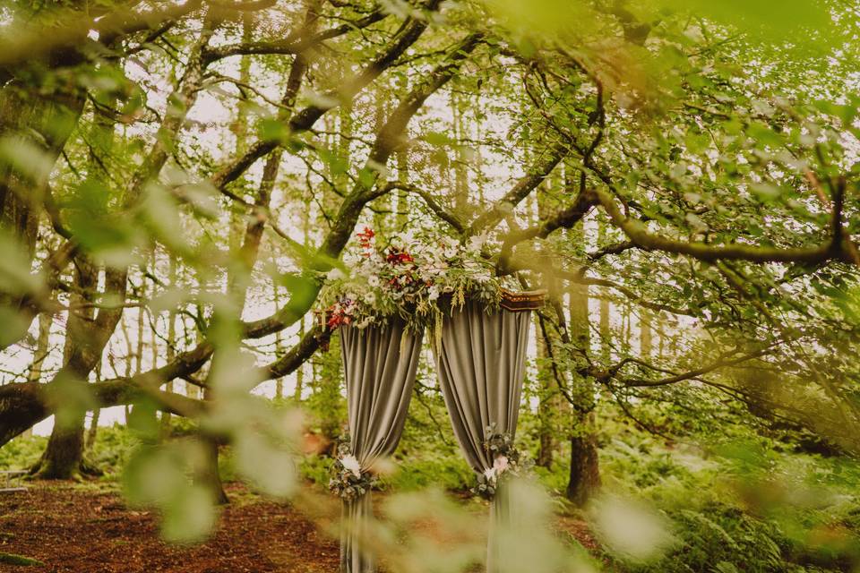 Your ceremony in the woods