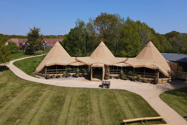 Mad Swans In The South Downs