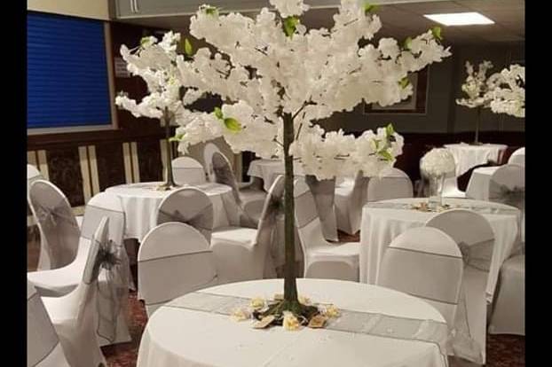 4ft  white blossom trees