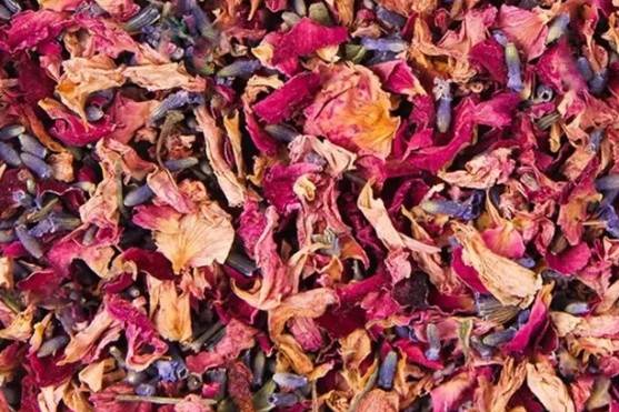 Ju Santino Wedding Celebrant