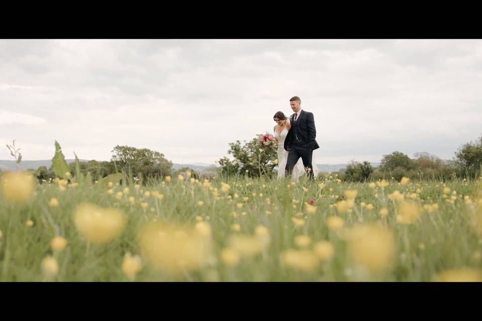 Filming through the flowers