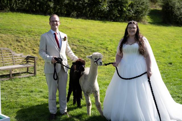 The Bride & Groom