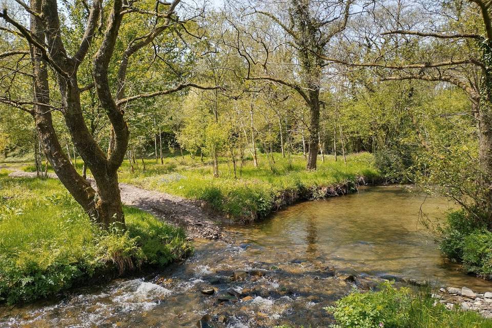 Stream in lower field