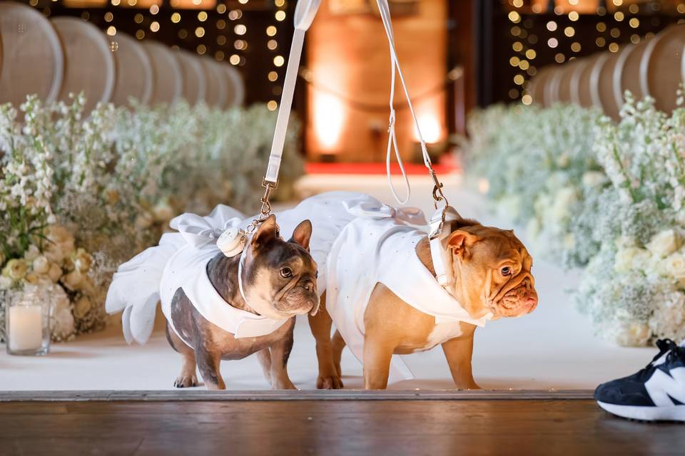 Shane Webber Photohraphy