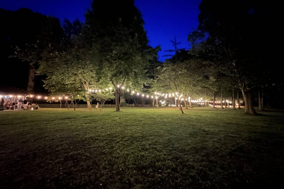 Garden at night