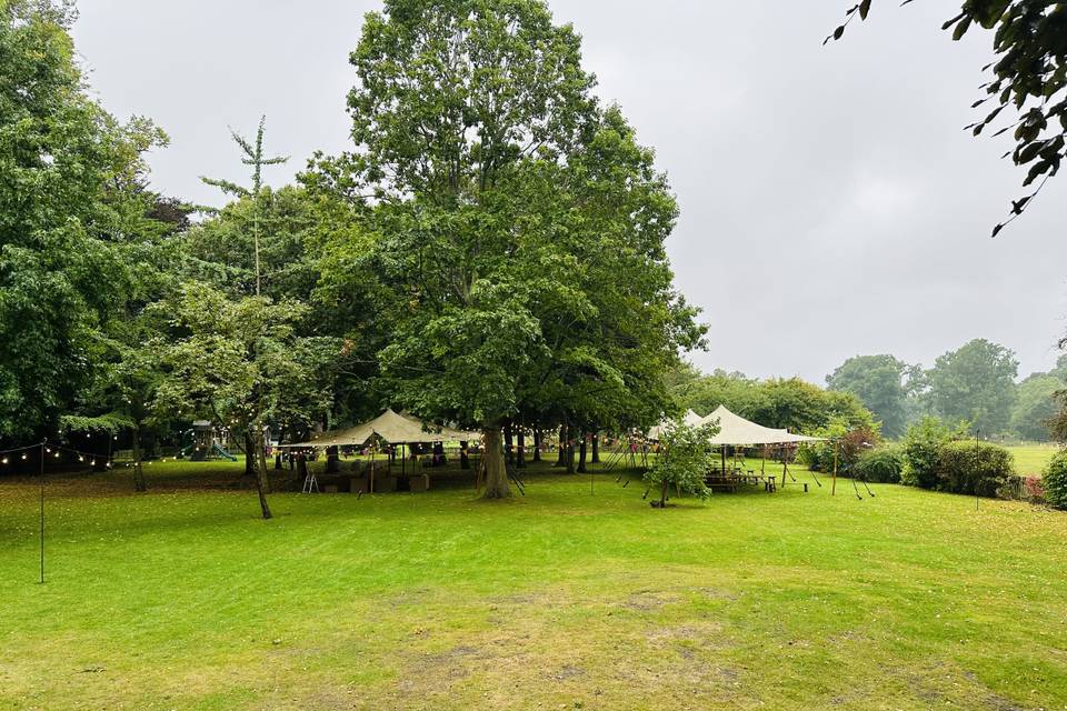 Strech tent in the trees