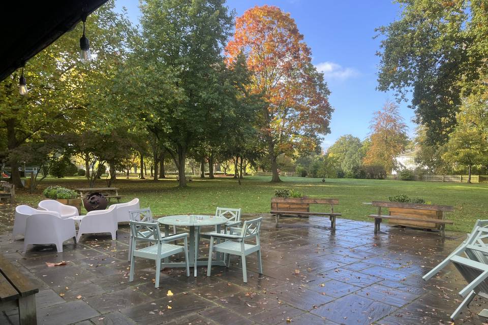 Autumn garden