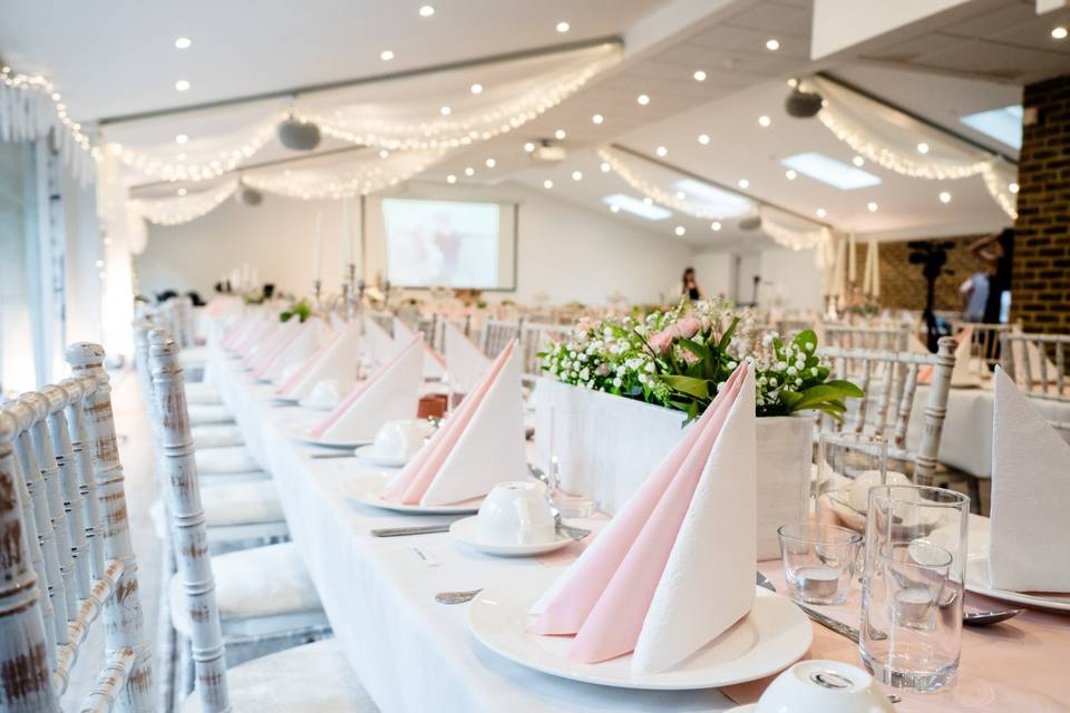 Platinum decor package pink