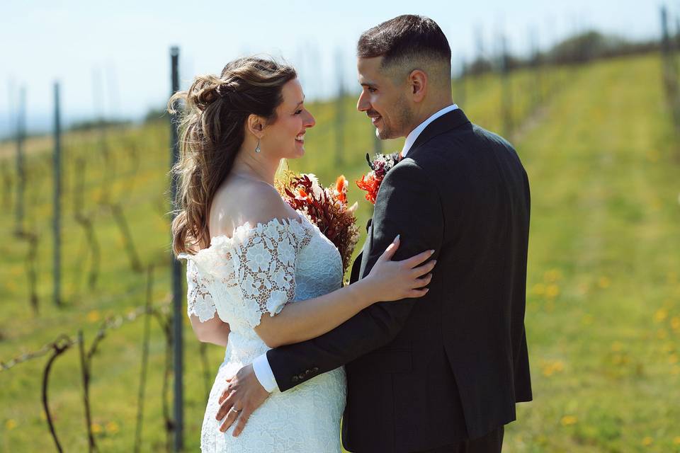 Little Wold Vineyard shoot