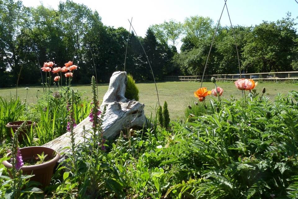 View across the gardens