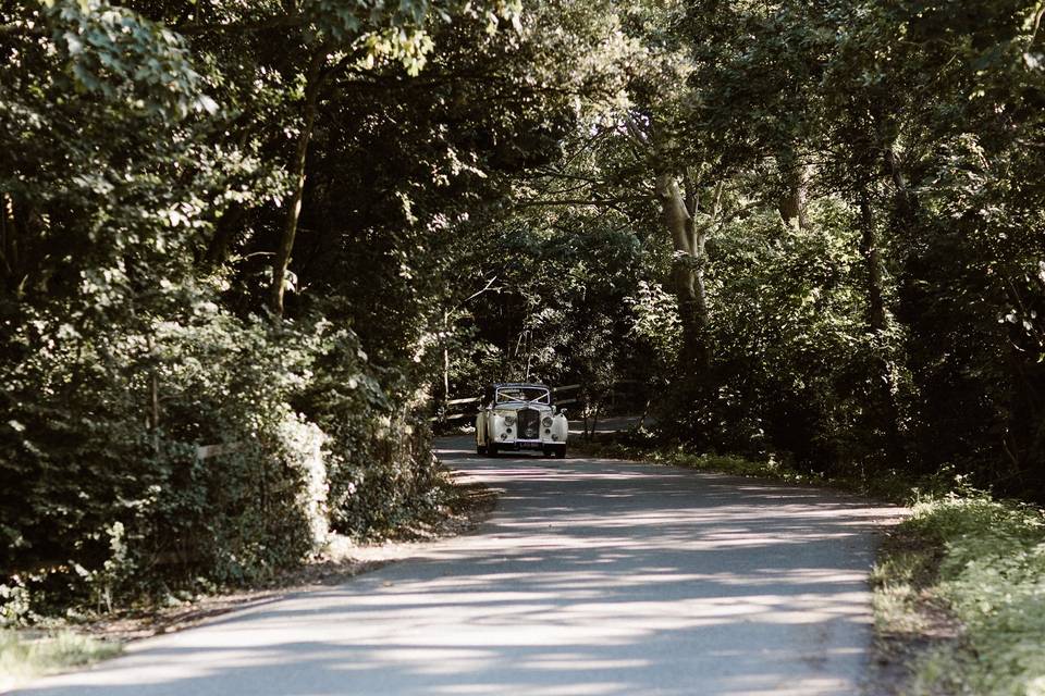 Woodland drive