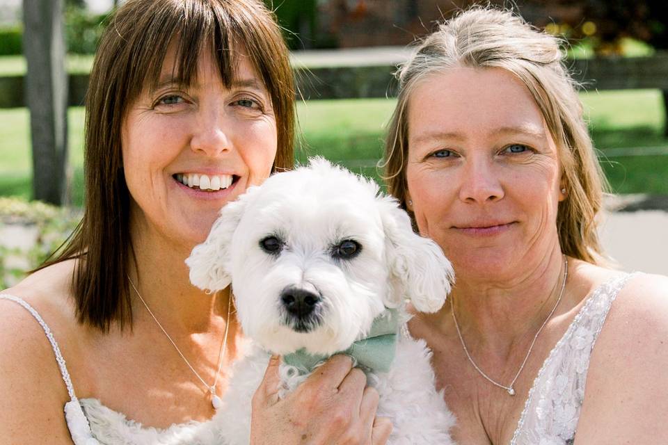 Grange Barn Wedding Dog