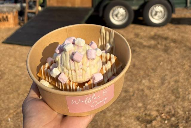 Waffle and ice cream