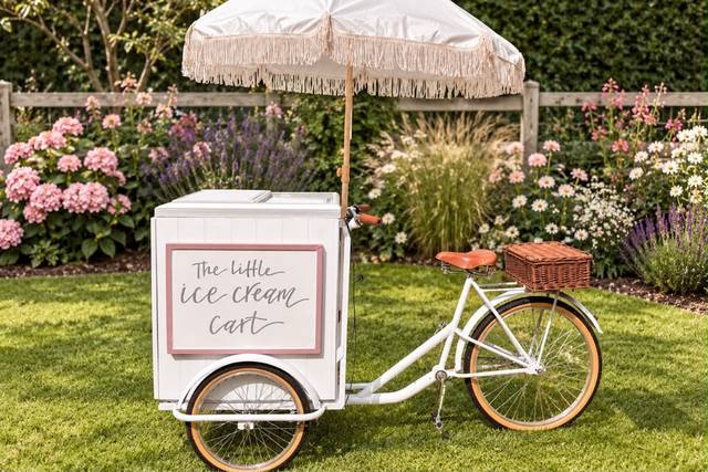 Ice cream bike
