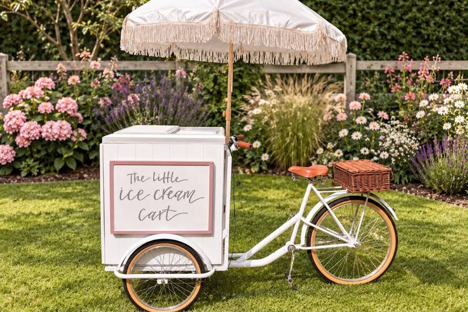Ice cream bike