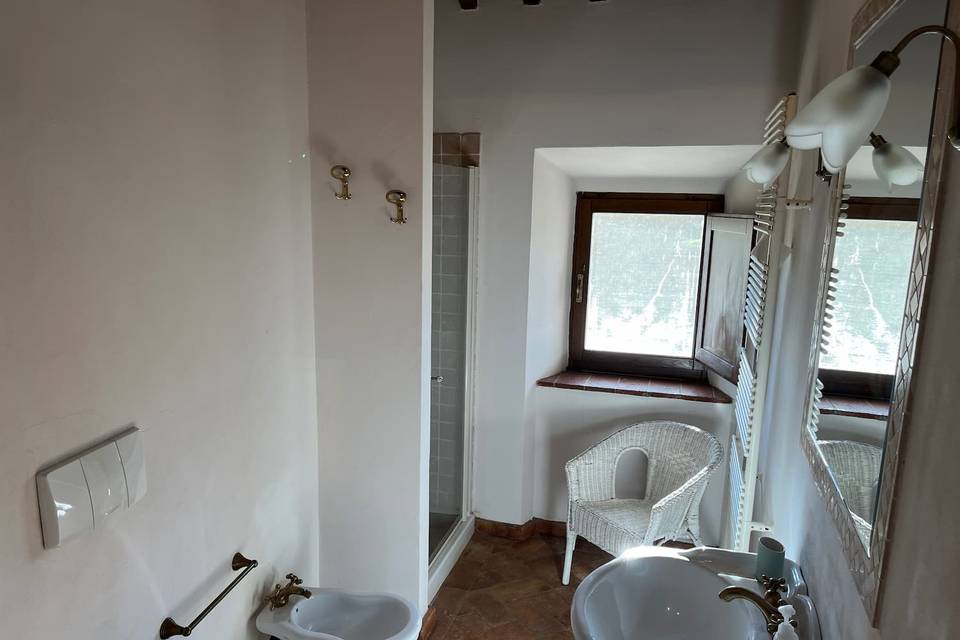 bagno-con-doccia_2_396709-173556332825033