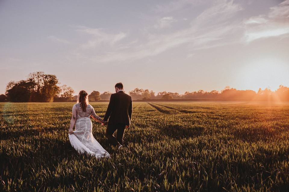 Fields of gold