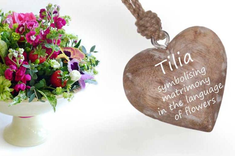 Tilia flowers