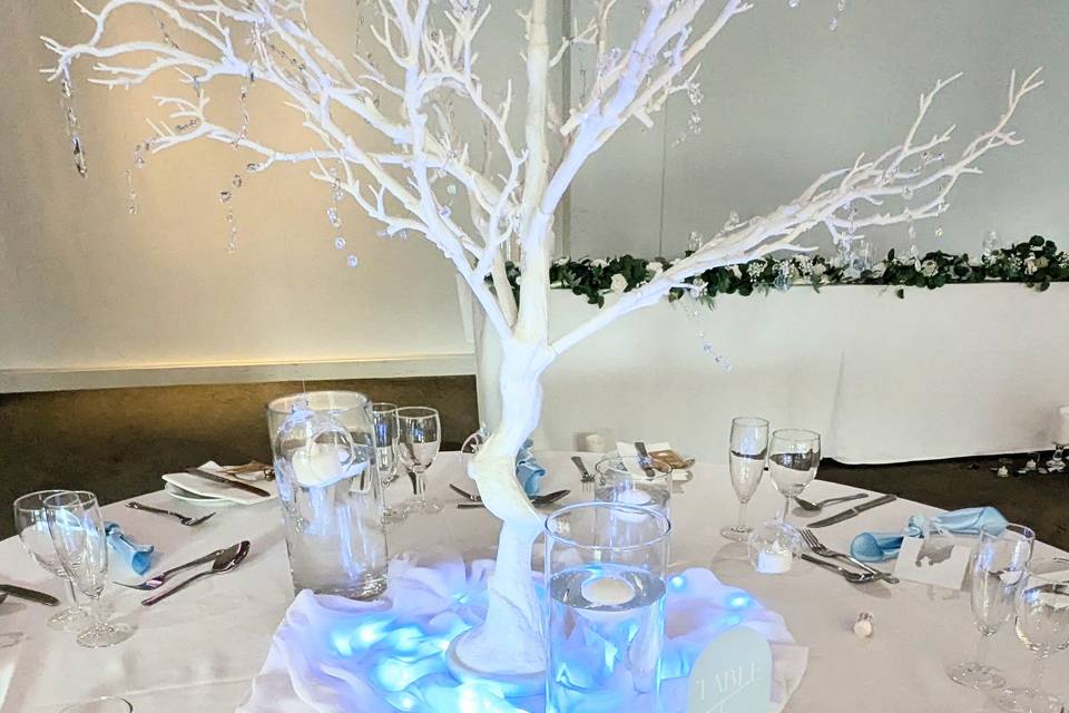 Winter wonderland