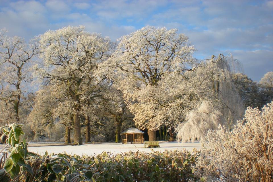 Winter