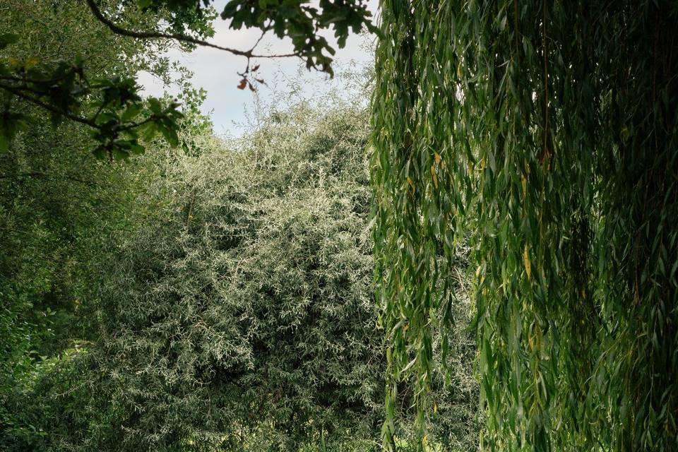 Gardens