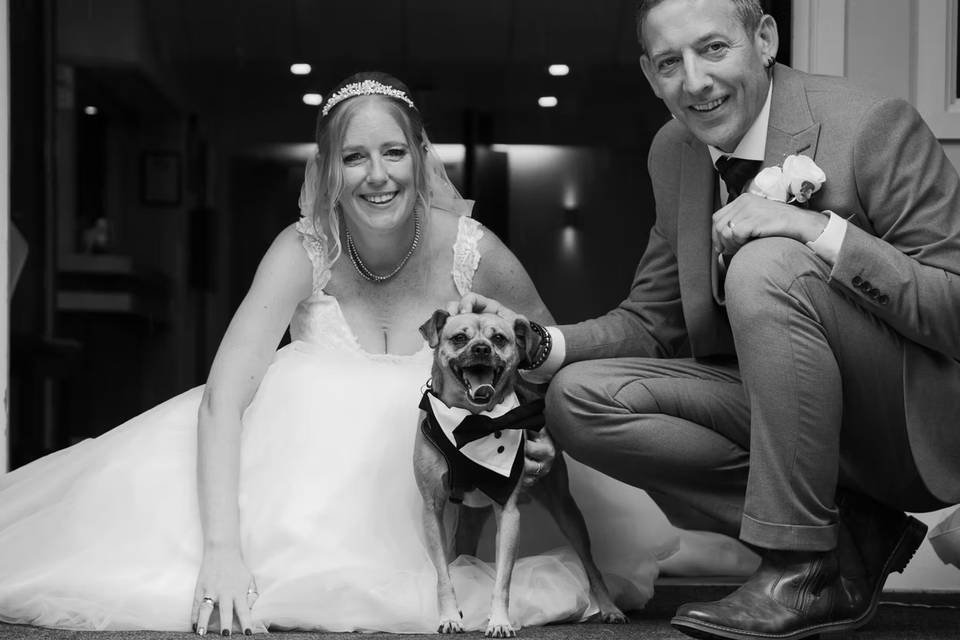 Weddings at Mitchell Hall