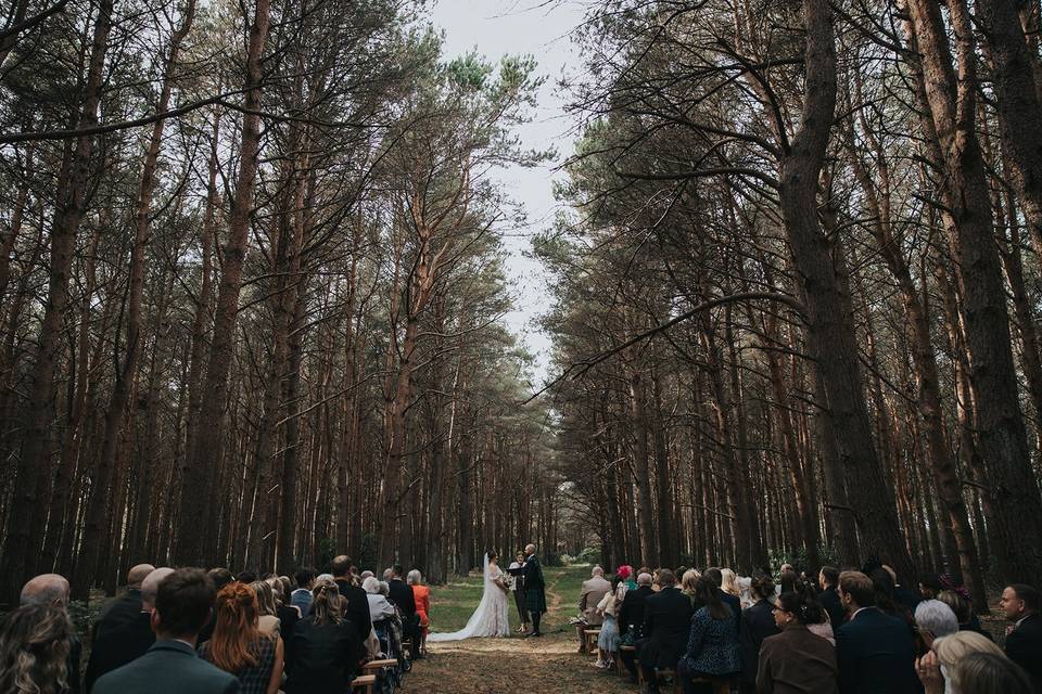 Wedding