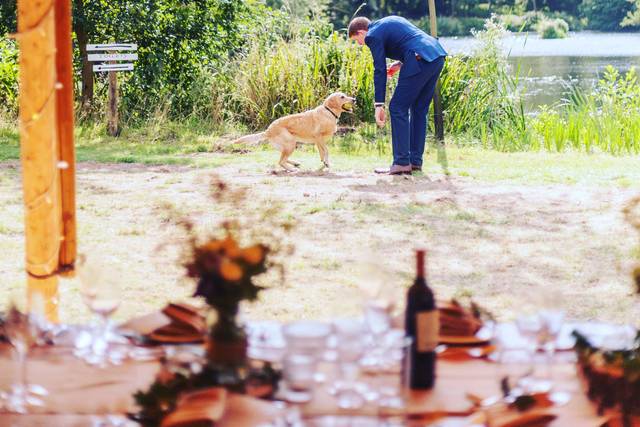 Dogs welcome!