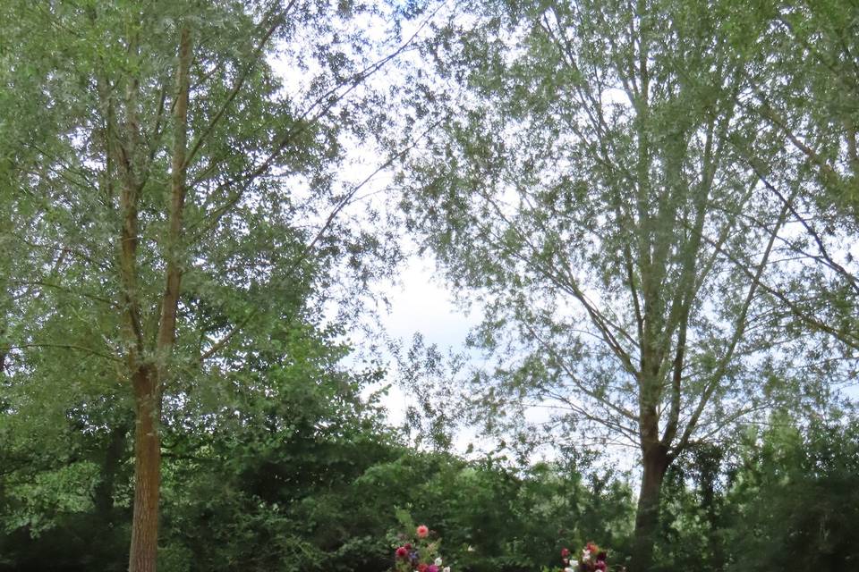 The willows ceremony area