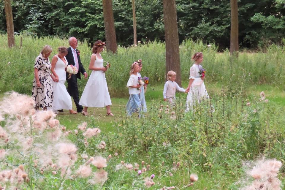 Bridal procession