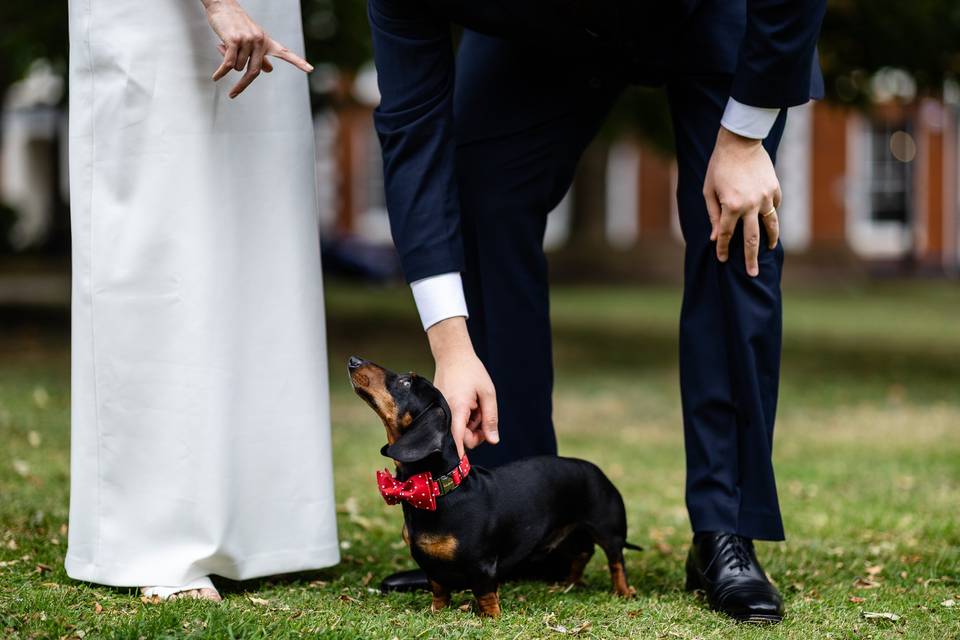 Warrington Wedding