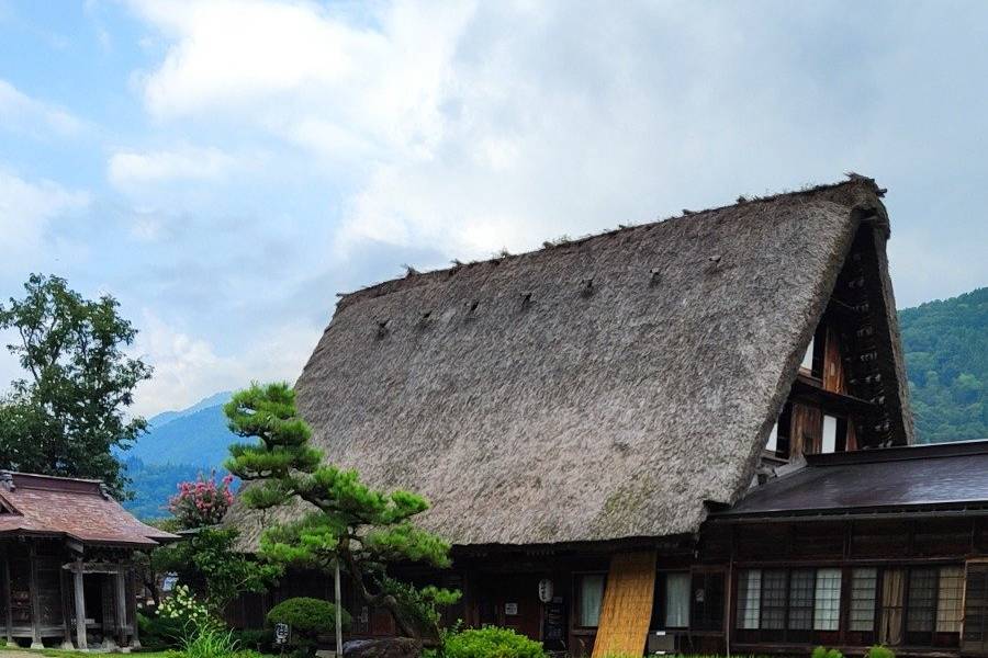 Japanese Nature Honeymoons