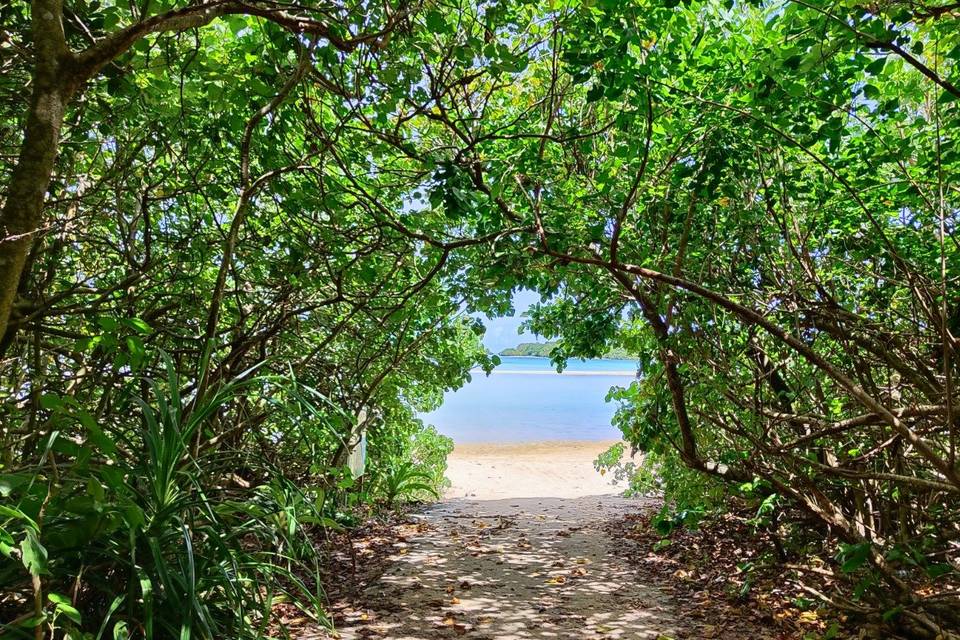 Secluded Japanese Beaches