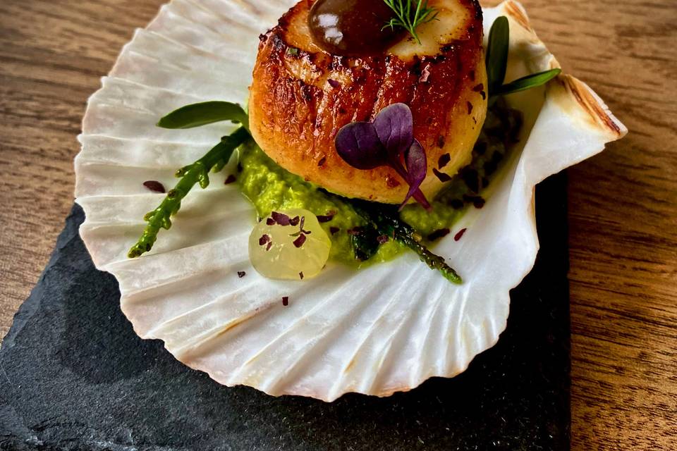 scallop, black garlic