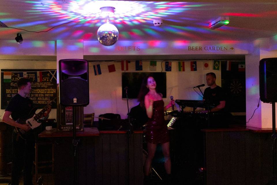 Gecko Groove in Hertfordshire