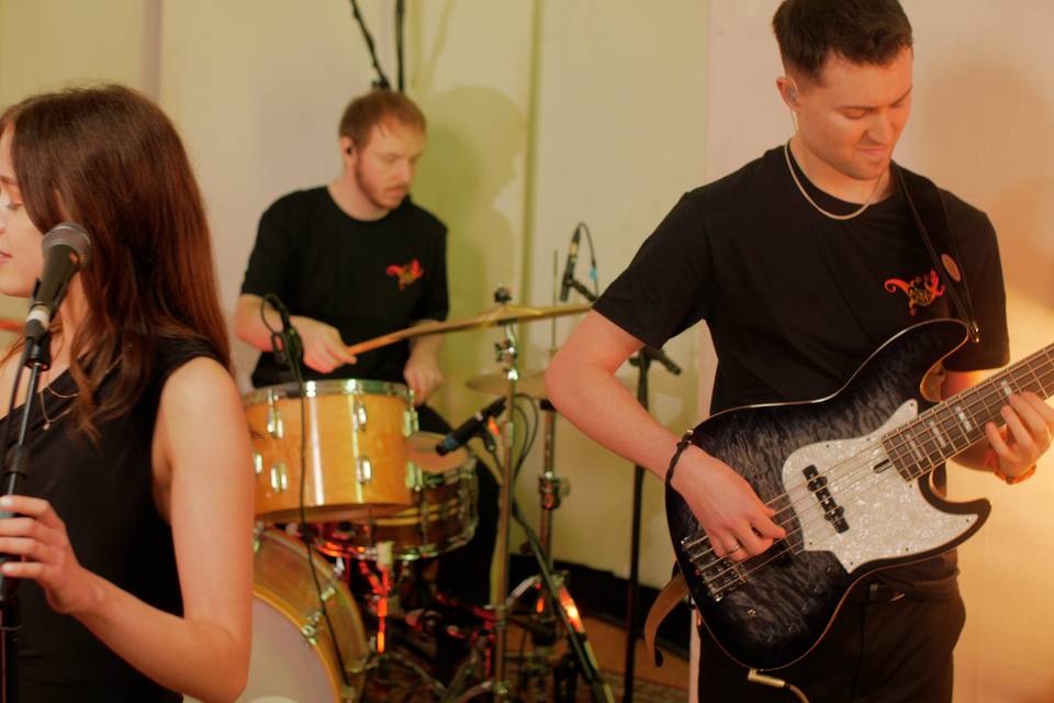 Gecko Groove Action Shot
