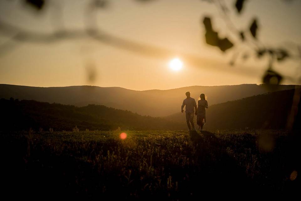 Sunset in the nature