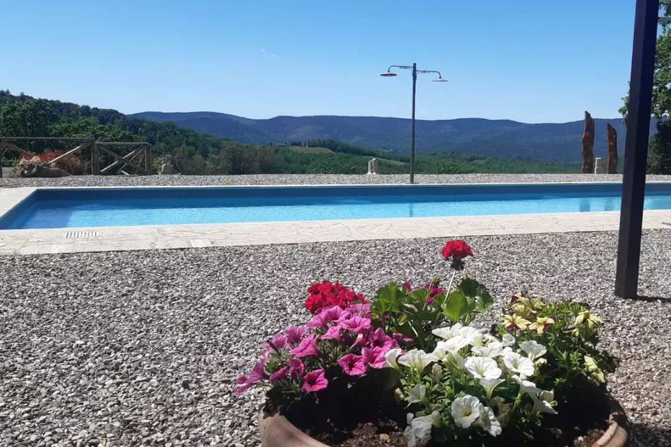 Tenuta Della Selva