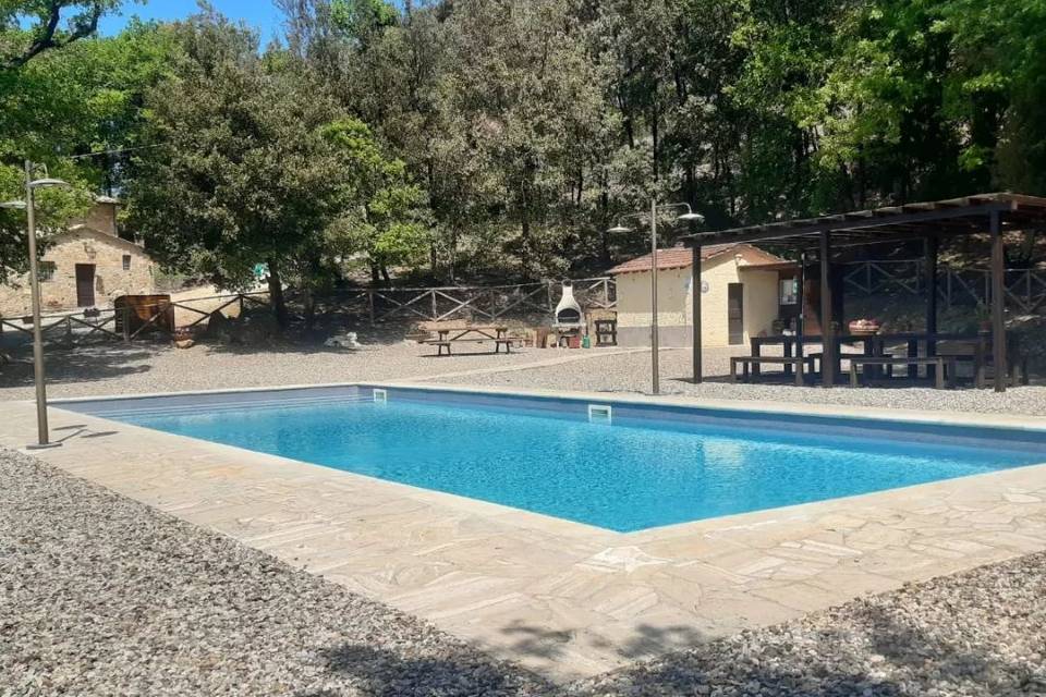 Swimming pool