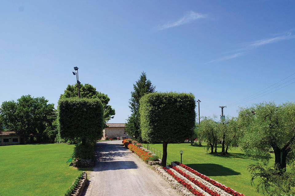 Our option for large events
