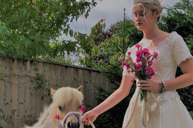 Bride and pony