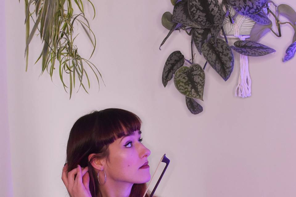 Acoustic Violin Performances