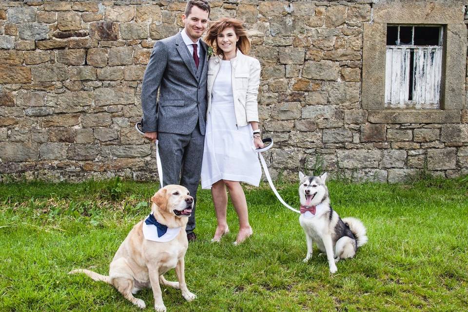 4Paws Wedding Dog Chaperone Service