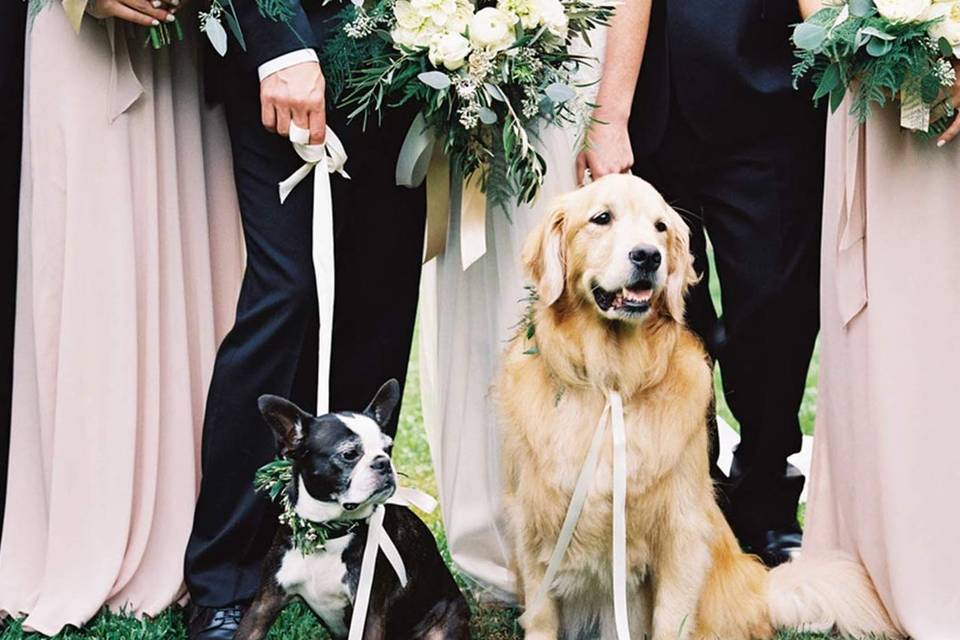 Walking down the aisle