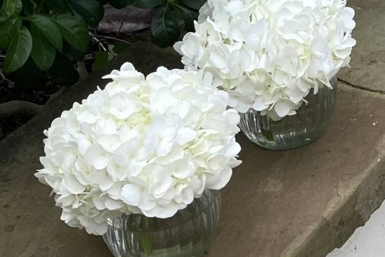 White hydrangea in small vases
