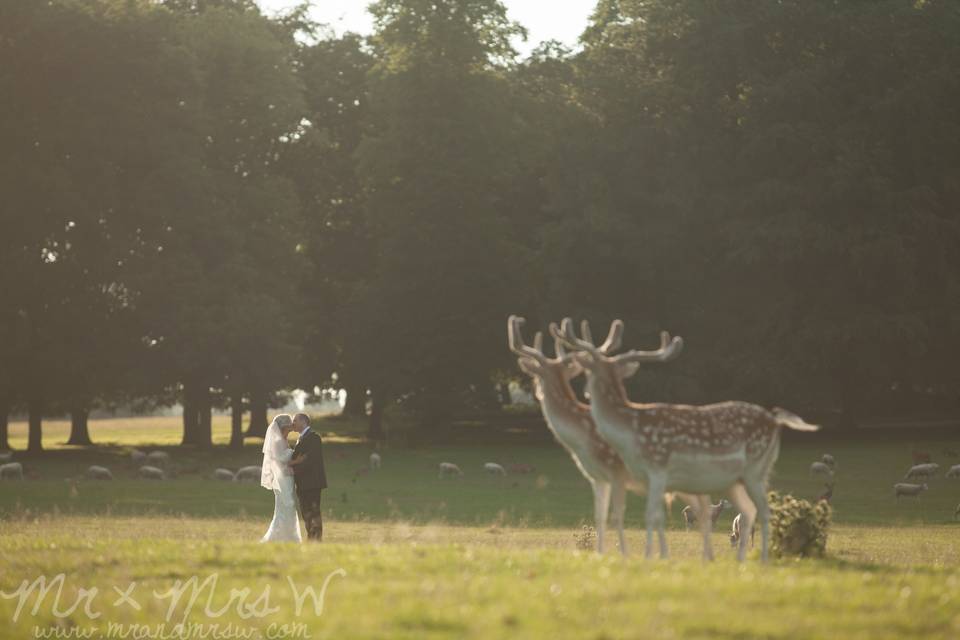 Tatton Park